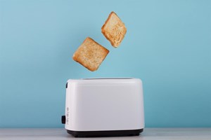 Planeus industrial process toaster
